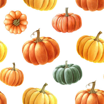 Pumpkin seamless pattern. Watercolor painted illustration. Hand drawn ripe orange autumn pumpkins decoration. Thanksgiving and halloween bright seamless pattern element. White background