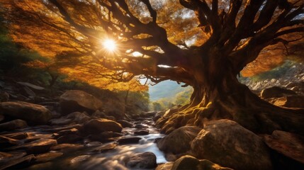 a beautiful autumn landscape, a brook in a forest, rocks and leaves in a mystical forest at sunset, sunlight and beautiful nature - Powered by Adobe