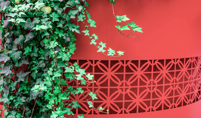 Chinese garden spring red wall green plants background material