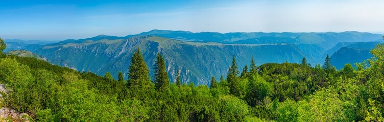 Tara river valley viewed from Durmitor national park in Montenegro - obrazy, fototapety, plakaty