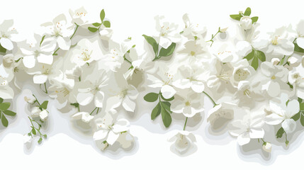 Panoramic shot of jasmine flowers on white surface flat