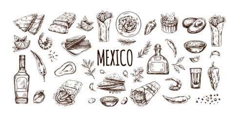 Hand-drawn set of realistic mexican dishes and products. Vintage sketch drawings of Latin American cuisine. Vector ink illustration. Mexican culture. Latin America.