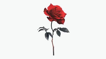 Red rose isolated on white background. Vector 