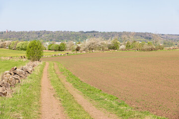 Grass shoulder road by a field in the countryside at spring