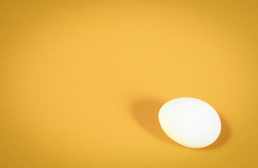 One white chicken egg on orange background close-up - 779426115