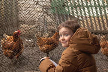 Scchoolboy siting in front of the chicken coop cage and watching with interest © Mikhail
