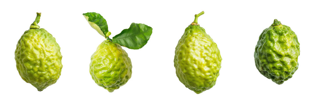 Set of A Etrog Lime is in  on a transparent background