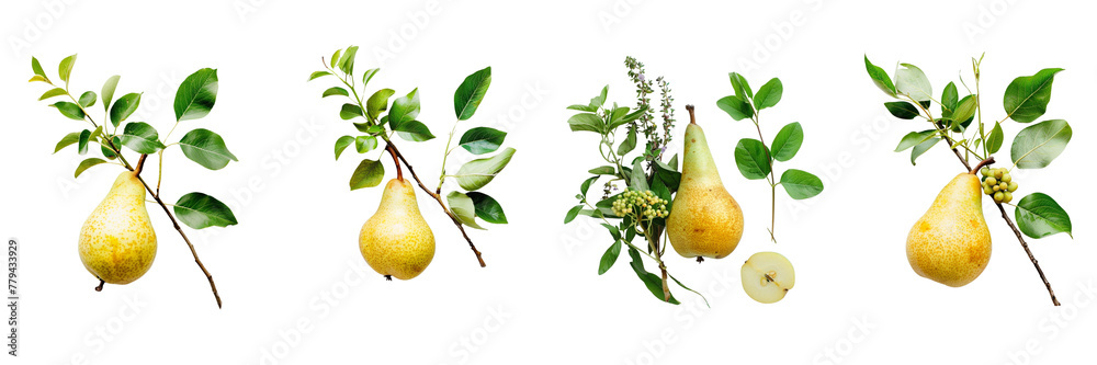 Wall mural set of a european pear on a transparent background