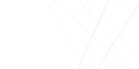 Fototapeta premium Abstract white and gray background with lines white background for your design. Abstract modern business technology and communication concept white geometric line white background.