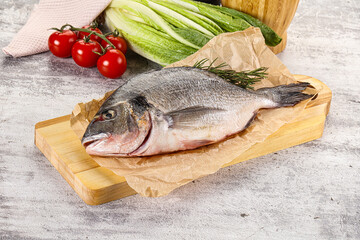 Raw dorada fish served rosemary