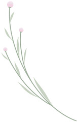 Pink Wildflower border4