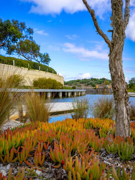 Beautiful landscapes at Royal Botanic Gardens Cranbourne, Melbourne, Australia