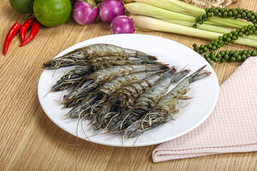 Fresh raw uncooked tiger prawn