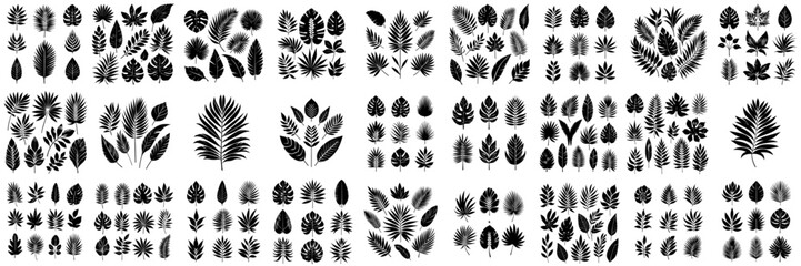 vector set of tropical leaf silhouettes