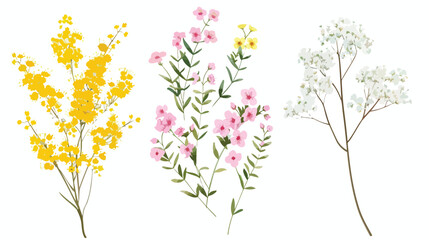 Set of small sprigs of yellow flowers of berberis thun