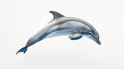 Graceful dolphin leaps, freedom embodied against a stark white backdrop, AI Generative.