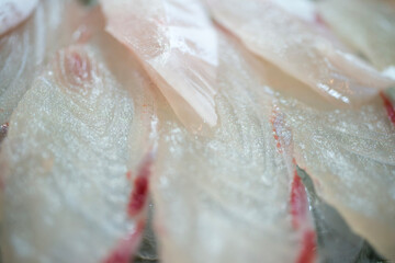Close-up of the sashimi on the plate