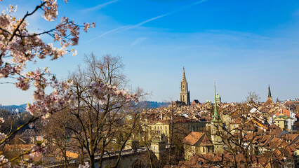 Old Town of Bern, capital of Switzerland, covered with cherry blossom in springtime
