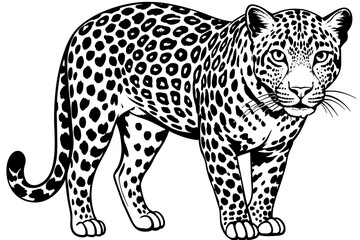 leopard silhouette vector illustration