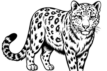snow leopard silhouette vector illustration 