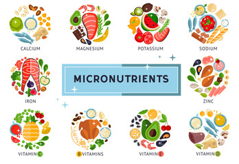 The food infographic about micronutrients, vitamins, design template