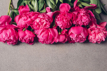 Heap of beautiful fresh vivid pink peony flowers in full bloom on grey background, close up. Copy...