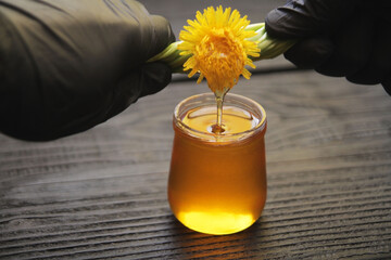 Concept, imitation of squeezing honey from dandelion flowers. Two hands twist the stems and flowers of a dandelion, imitating the work of bees to extract flower honey. Honey from the flower flows in a