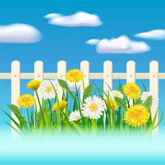 Spring summer banner green grass, daisy and dandelion flowers