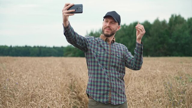 Countryside, man farmer standing in a field of rye and takes selfie pictures on a smartphone, investigating plants.
