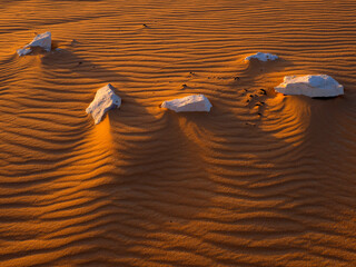Limestone rock formations on sand in Sahara desert at sunset, Egypt