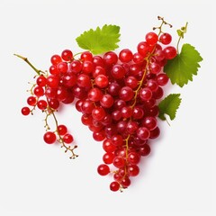 red currant isolated on white background