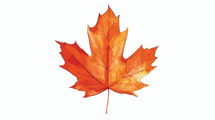 Maple Leaf Illustration Flat vector isolated on white