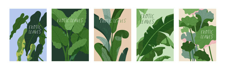 Obraz premium Tropical leaf plant, posters set. Exotic botanical cards with big green leaves, greenery. Natural floral backgrounds. Flora, vegetations, modern eco wall art collection. Flat vector illustration