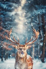 Beautiful Deer with big horns