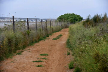 Fototapeta na wymiar Sandy road with grass patches, going along a fence with the sea seen behind it in the background. 