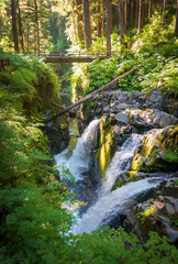 Sol Duc Falls Waterfall at Olympic National Park in Washington State