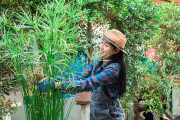 Asian gardener woman trims dry leaves branch in garden, single female happy carefree exercise...