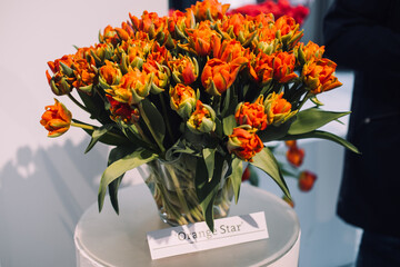 'Orange star' Tulips Arrangement at Floral Exhibit