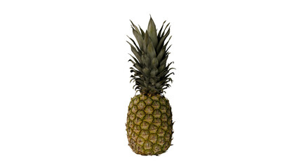 a pineapple is shown against a white background