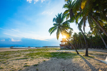 Scenery of coconut grove in the eastern suburbs of Wenchang, Hainan, China Sea, at sunset in the...