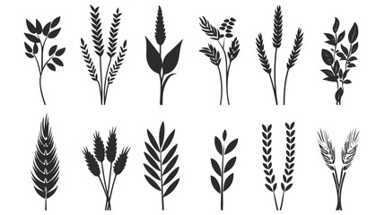 Obraz premium Wheat icon isolated sign symbol vector illustration -