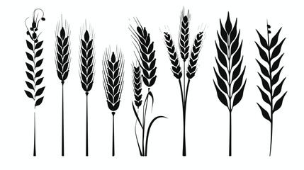 Wheat icon isolated sign symbol vector illustration -