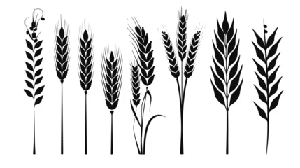 Fotobehang Wheat icon isolated sign symbol vector illustration - © Jasmin