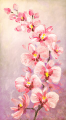 Naklejka na ściany i meble Orchid flowers. Oil painting