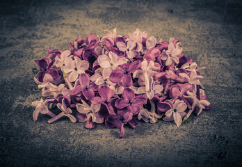 purple lilac flowers close-up, selective focus, vintage effect - 779503314
