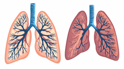 Smoker lungs. Smoke human damage lung cancer vector 
