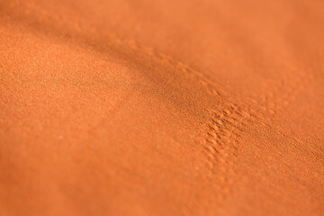 Desert sand dune orange texture background
