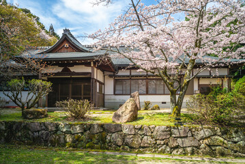 Onjoji temple, or Miidera, with cherry blossom at Mount Hiei in Otsu city in Shiga, Japan