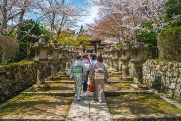 Onjoji temple, or Miidera, with cherry blossom at Mount Hiei in Otsu city in Shiga, Japan