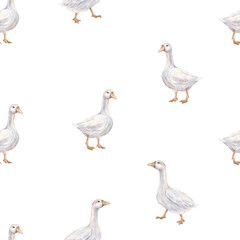 Watercolor seamless pattern with goose farm bird. Tender watercolor illustration on a isolated on background. Domestic white and gray watercolor cute farm bird. Hand drawn illustration farm birds.